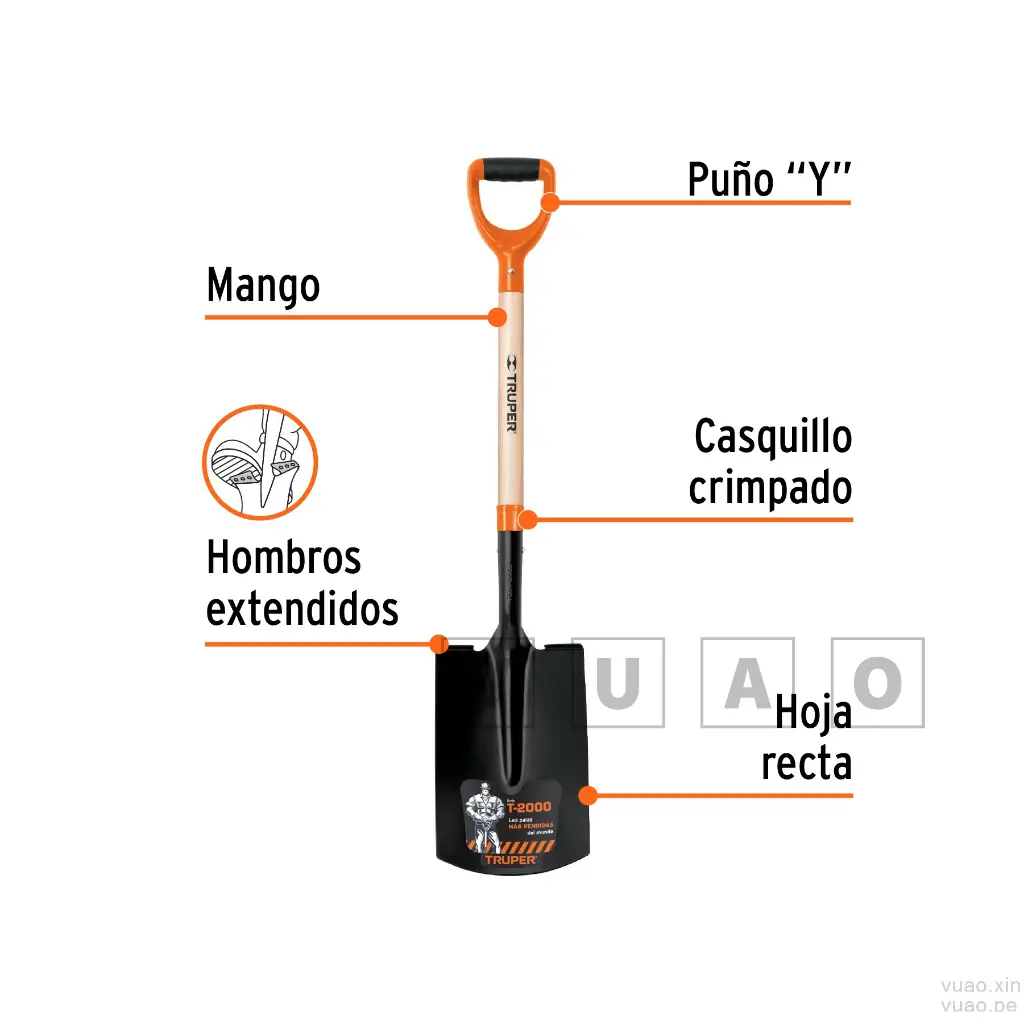 PR2-PE+FC1.webp